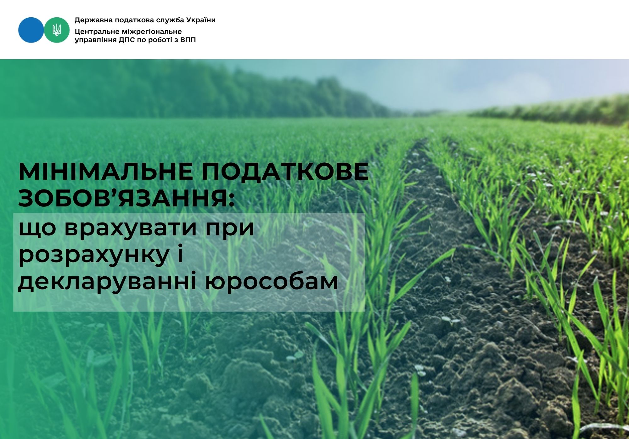 Мінімальне податкове зобов’язання: що врахувати при розрахунку і декларуванні юрособам