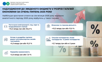 Надходження до зведеного бюджету за січень - липень 2026 року в розрізі основних галузей