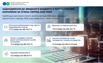Надходження до зведеного бюджету з початку року в розрізі основних галузей